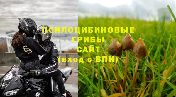 эйфоретик Алзамай
